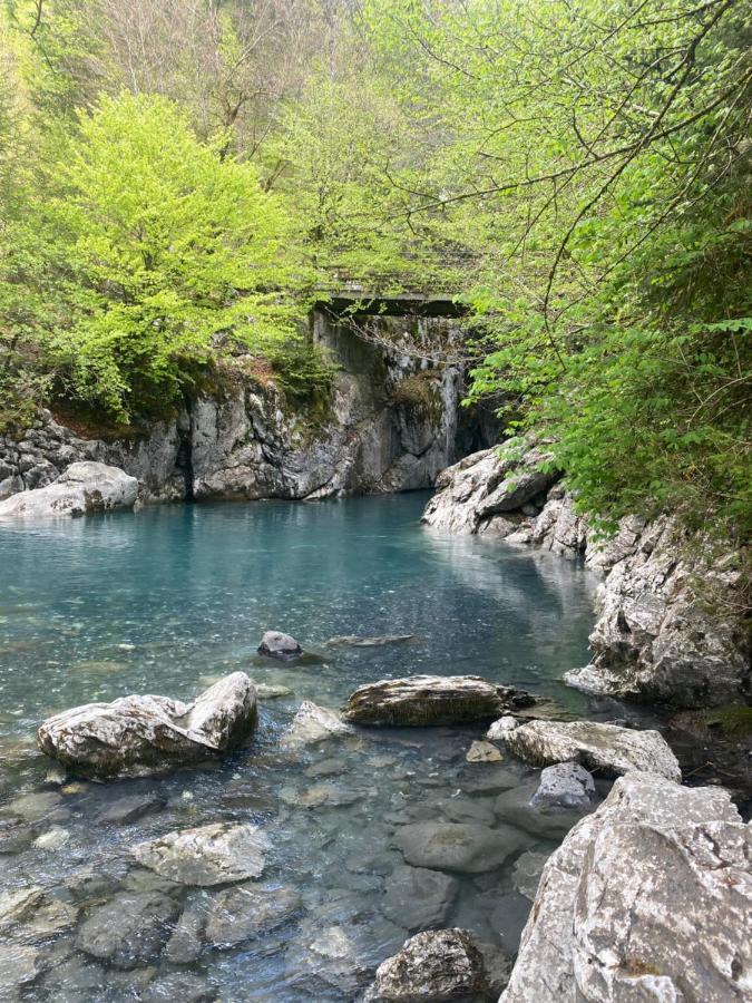 Appartement Rez-De-Chaussee, Cosy T3 4 A 6 Pers Avec Piscines Interieure & Exterieure A Samoens En Haute-Savoie מראה חיצוני תמונה