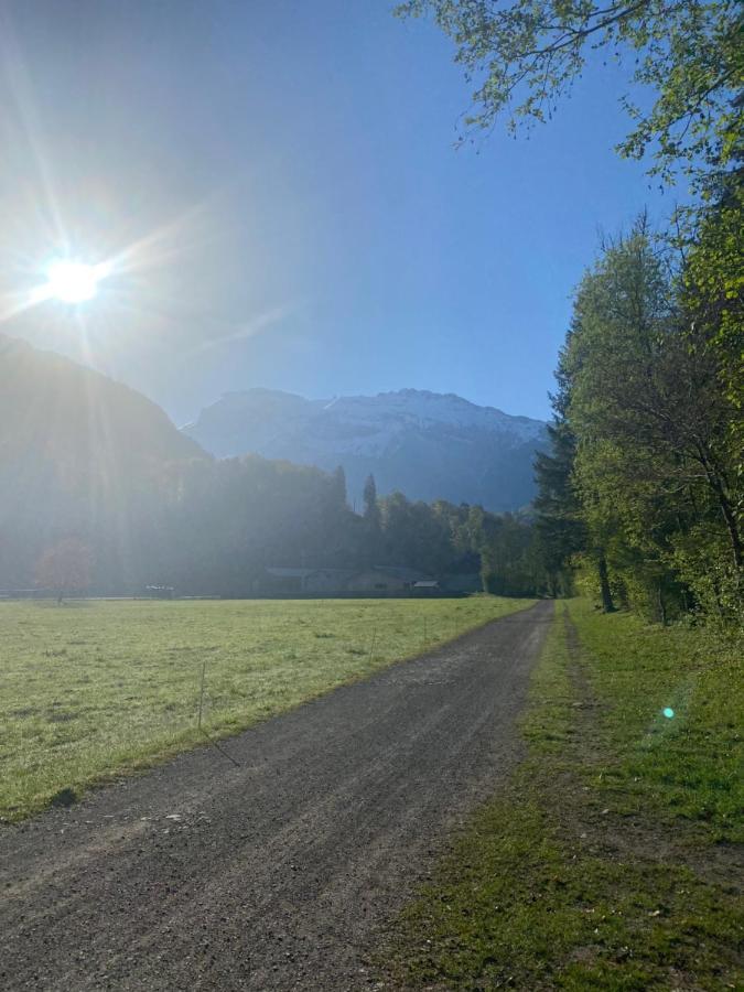 Appartement Rez-De-Chaussee, Cosy T3 4 A 6 Pers Avec Piscines Interieure & Exterieure A Samoens En Haute-Savoie מראה חיצוני תמונה